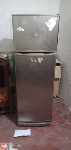 refrigerator medium size