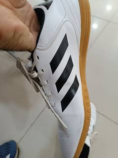 Adidas Court Shoes (Squash and Badminton) 10/10