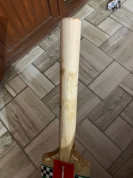 hard ball bat 1