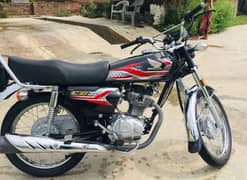 honda 125 APF