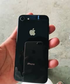 IPhone 8 pta approved