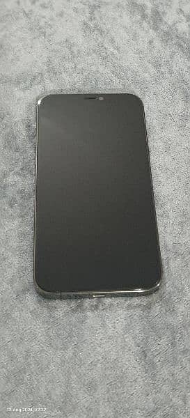 iPhone 12 Pro Graphite 256 GB 1