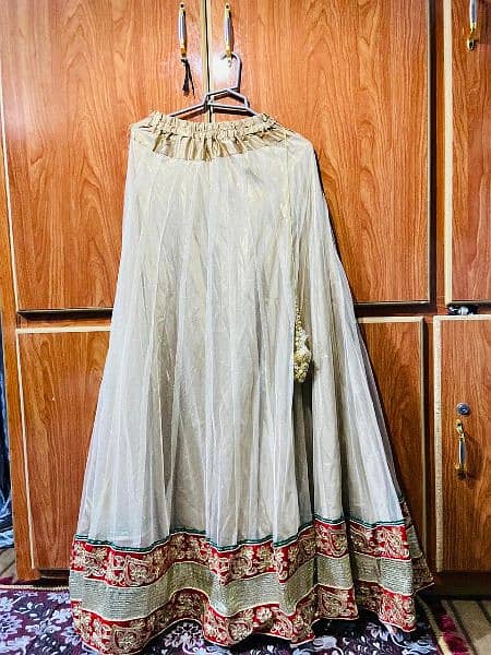 ghagra / cholii 3