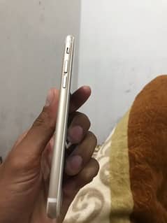 iphone 6 pta