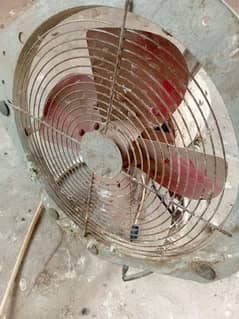 fan