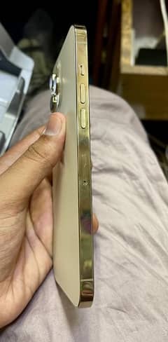 iphone 12 pro max non pta 0