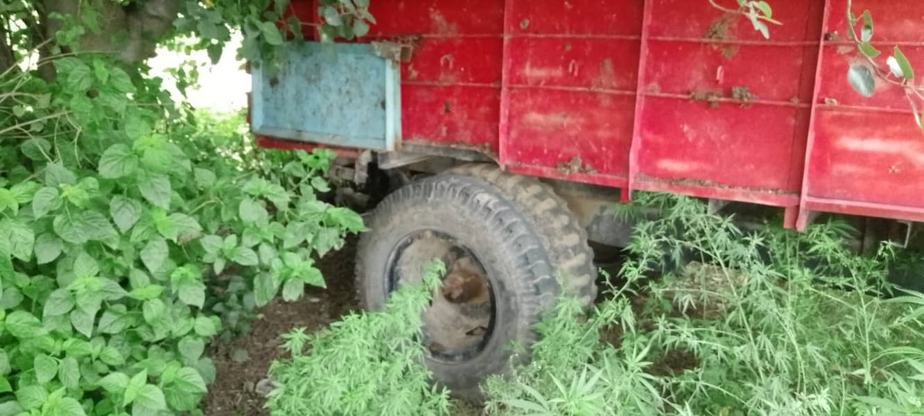 Tractor Fiat 480 for sale 2