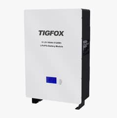 TIGFOX  Lithium Battery (LifePO4) 51.2V, 100Ah, 5120W