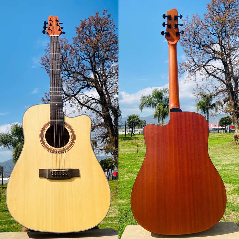 Acoustic Bignners & Professhional guitars collections 4