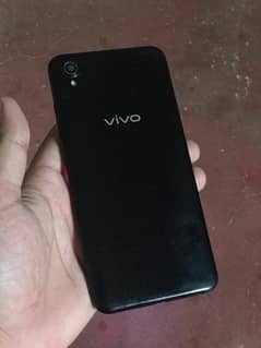 vivo