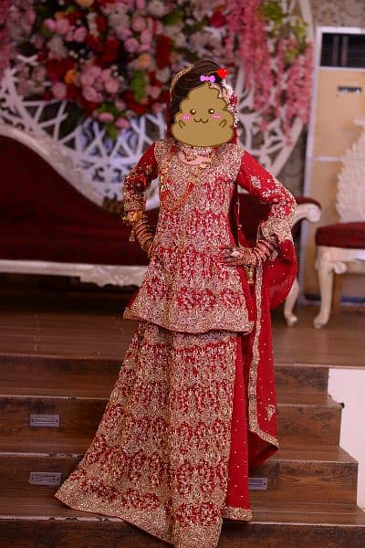 Bridal sharara 1