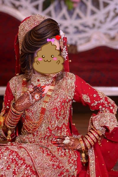 Bridal sharara 2