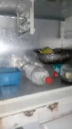 dowlance refrigerator