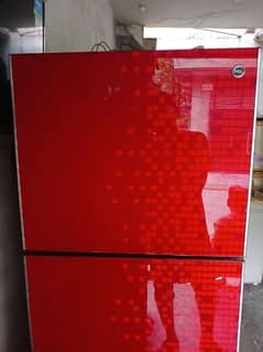 PEL Medium size fridge