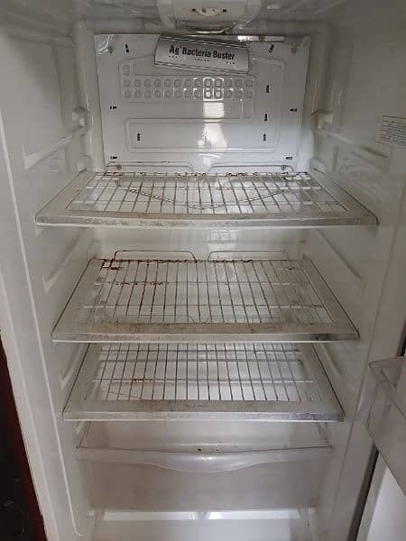 PEL Medium size fridge 5