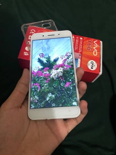 Vivo Y66 0