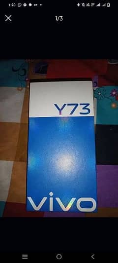 y73