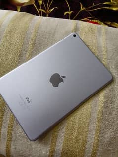 Ipad mini 5