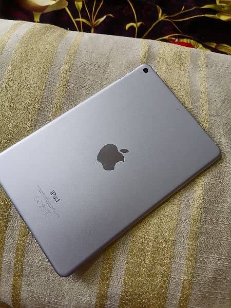 Ipad mini 5 0