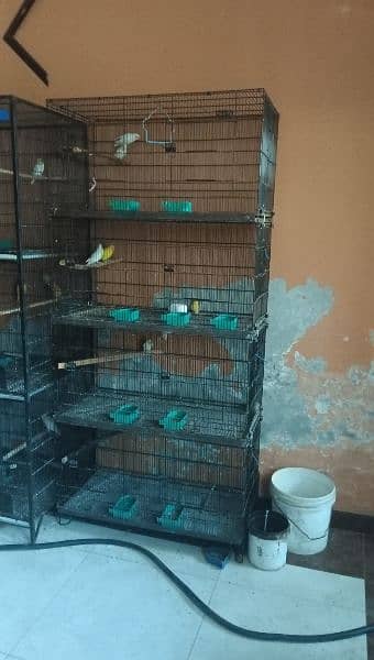 iron cages for birds parrots lovebird   good quality cage with pots 1