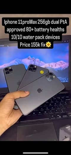 iphone 11 pro max 256 gb pta