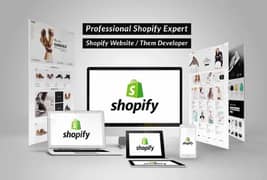 Professional Shopify Store Design web developer