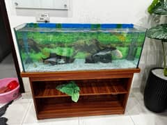 Aquarium Fish Decor