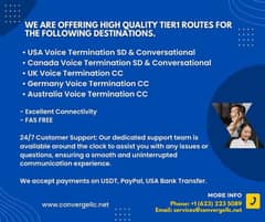 Offering high quality Tier1 routes for VOIP 0