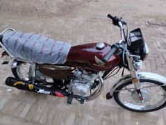 salf start 125 bic for sale 24 model 03451400338 03464952094