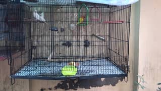 big size cage for sale