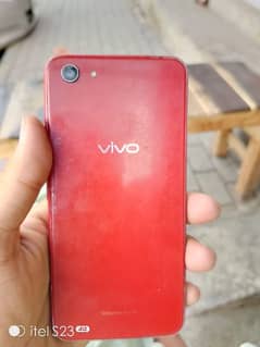 vivo