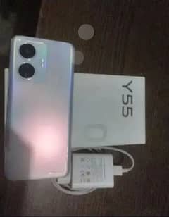 vivo y55 only sail