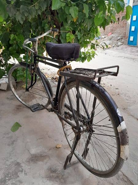 Eagle Bicycle for sale 2