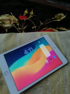 Ipad Mini 5