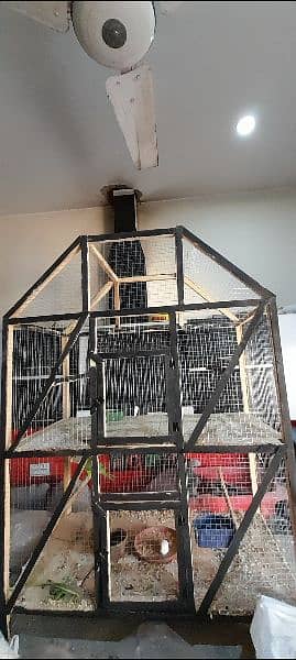 5000 ky 2 cages for hens and parrots and pigeon 1