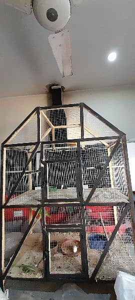 5000 ky 2 cages for hens and parrots and pigeon 4