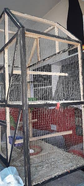 5000 ky 2 cages for hens and parrots and pigeon 6