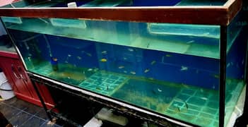 aquarium big size 6 fit ok condition