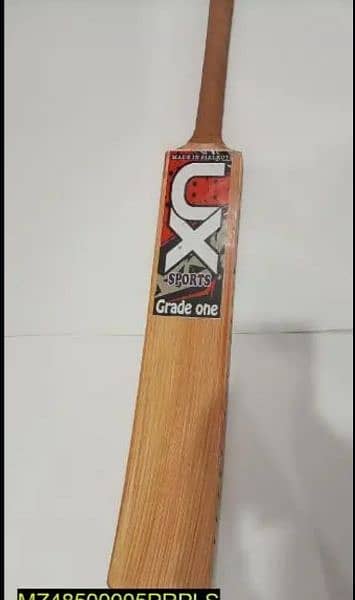 Cricket Bat.   (Delivery) 1