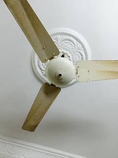 5 Ceiling Fan Best Performance