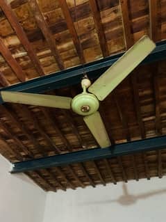 ceiling fan