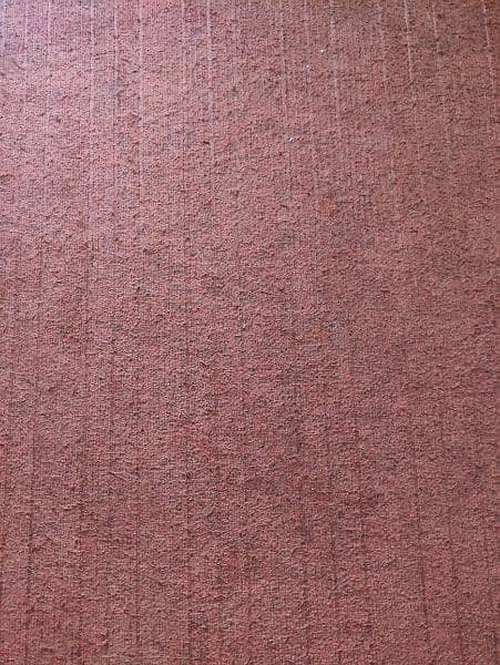 carpet 0