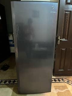 pel vertical freezer