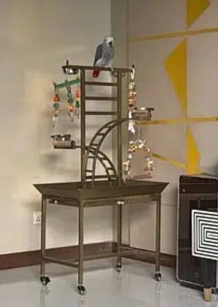 Best Quality Grey parrot or pet birds stand with playing stairs 1