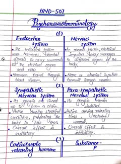 Handwritten assignment work