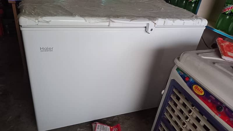 Hair inverter Deep Freezer 1