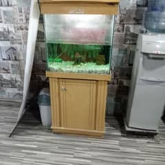 fish Aquarium