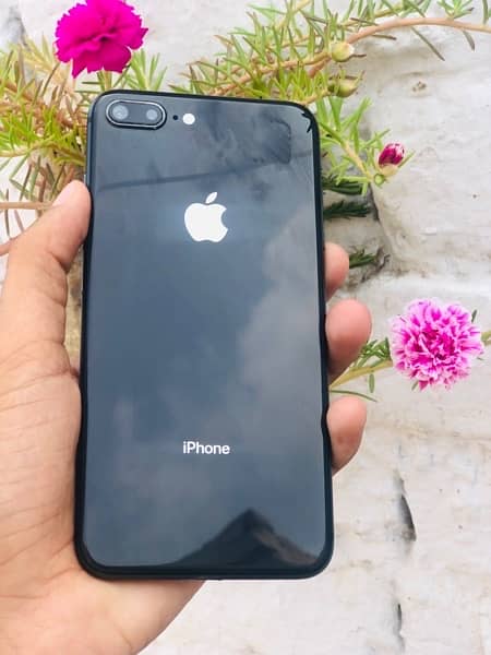 iphone 8 plus approved 1