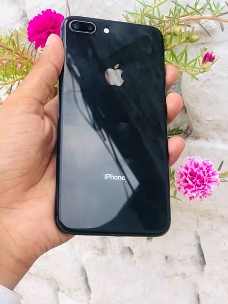 iphone 8 plus approved 5