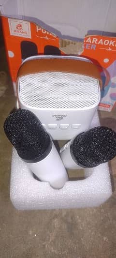 blutooth speaker with double mic